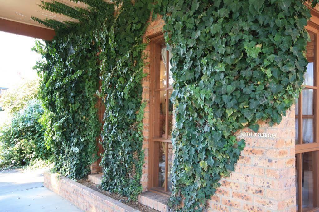 Bega Downs Motor Inn Екстериор снимка